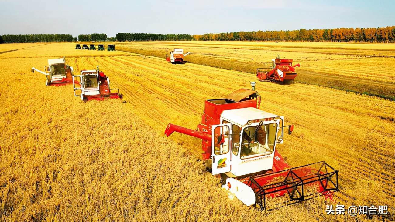 五谷丰登是哪5谷,合肥市五谷丰登指什么
