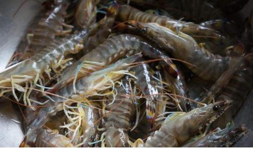 吃几十年才晓得，虾不能直接加水煮，掌握一招，肉质鲜嫩更营养