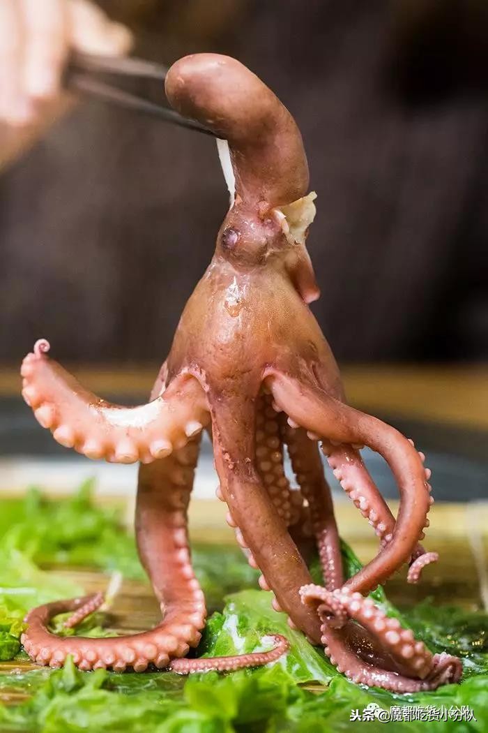 专吃加勒比海盗的店，还敢吃罗志祥