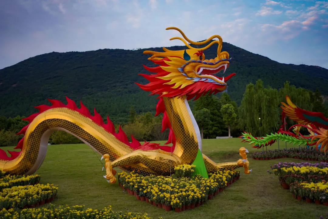 藏不住了！国庆节苏州这片花海美哭了！大人小孩玩到不想走