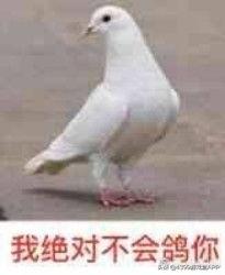 明日之后2020年新服开放时间12月,明日之后体验服庄园升级升的快吗