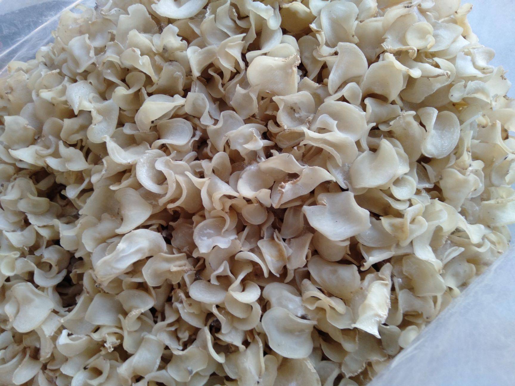 秋冬季节最常吃的8种干菜，用冷水还是热水泡发？这些秘籍教给你