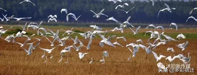 沭阳南部城市,沭阳城北有没有发展
