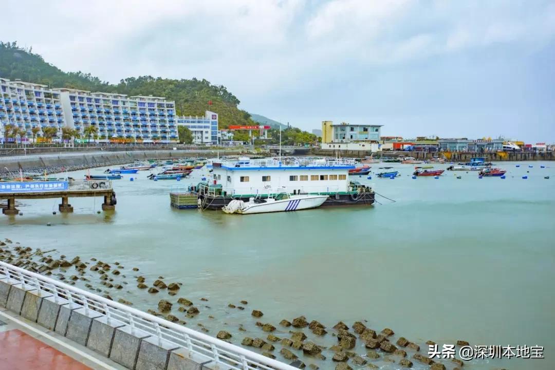 深圳免费的景点有哪些地方,深圳有哪些免费又好玩的地方景点