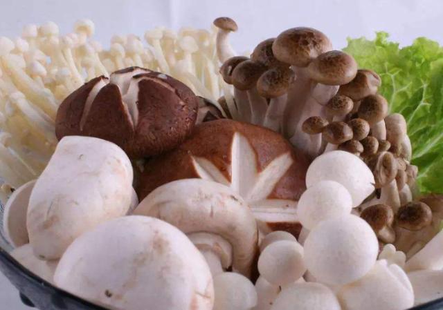 蘑菇菌包种植方法和步骤,稻草蘑菇菌包种植制作教程