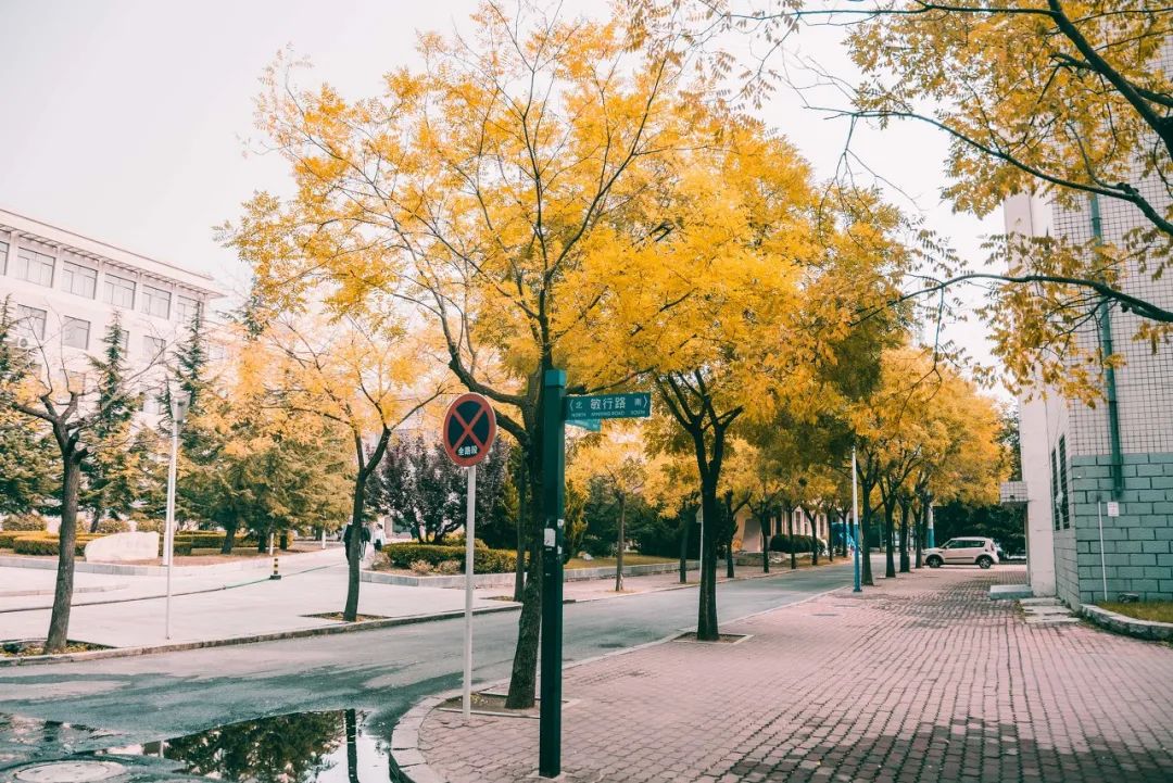 旅游三亚和厦门哪个更值得去,三亚和厦门哪一个更值得去旅游