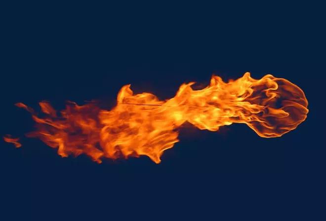 汇闻奇录（第十章）黑熊败逃战场，无花果树上造火球击退野猪群