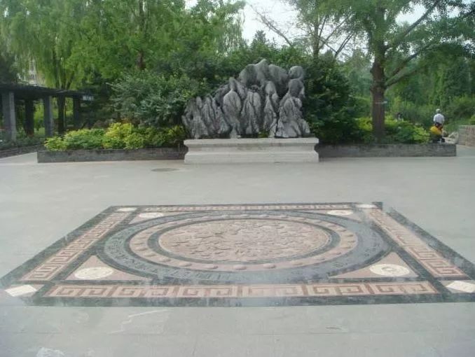 月坛银杏,月坛公园有银杏吗