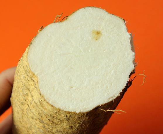 新鲜野生葛根的正确的吃法,自家种的葛根