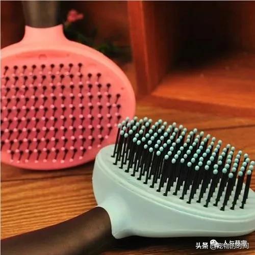 新手养猫一个月要花费多少钱,养猫最低一个月需要花多少钱