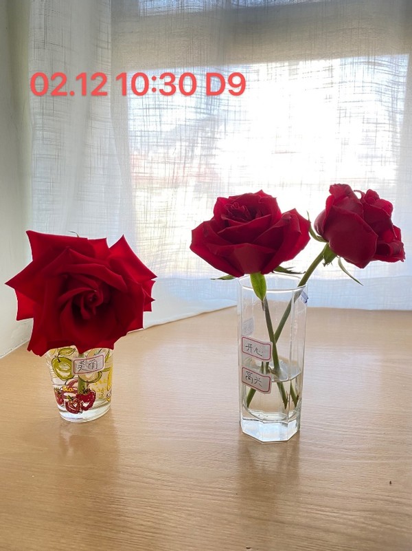 无形决定有形的说法,无形决定有形