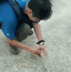 搞笑gif开心一刻单身也挺好,搞笑gif开心视频