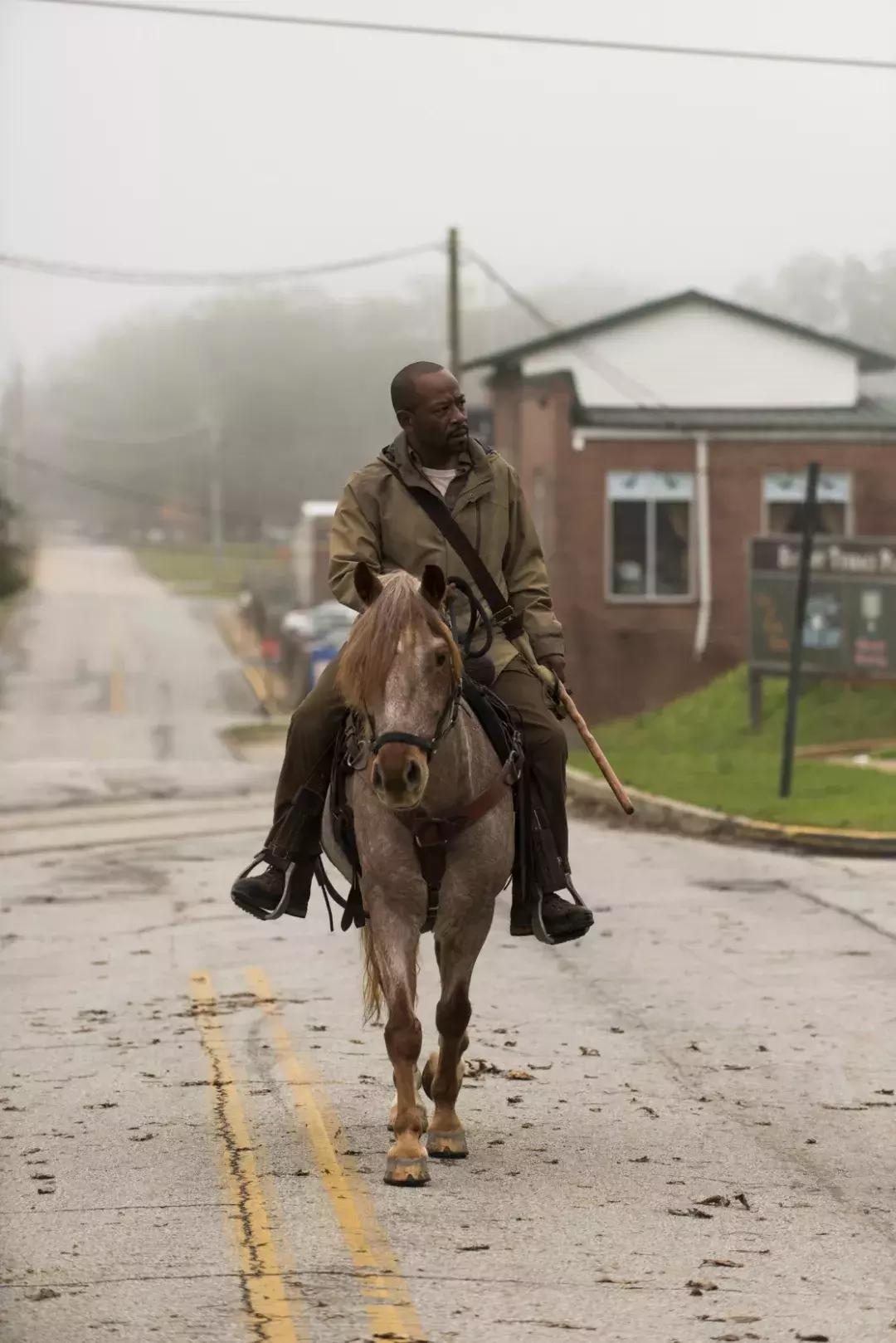 行尸走肉第一季为什么是神剧,行尸走肉为什么是神剧