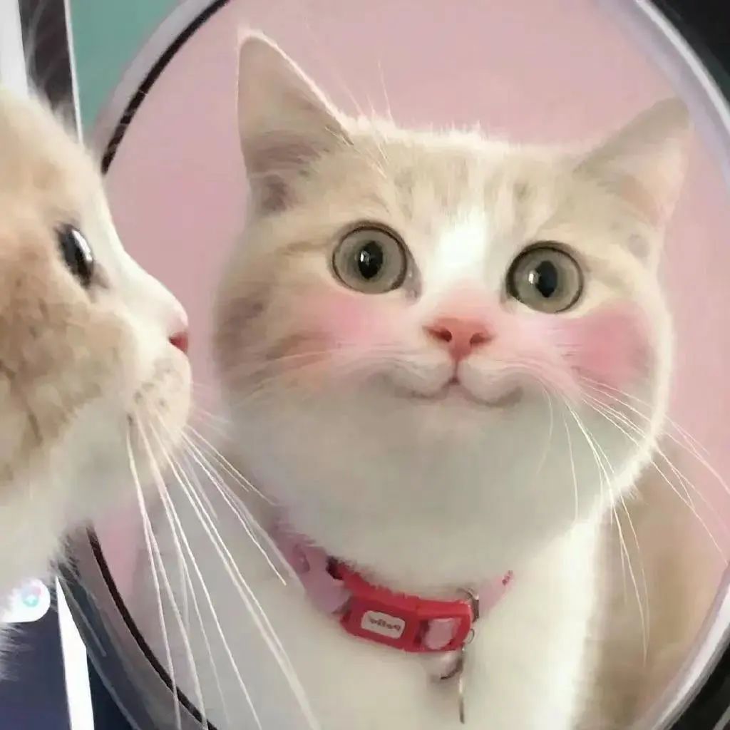 给女生送东西她很反感怎么办,马克杯送女生礼物