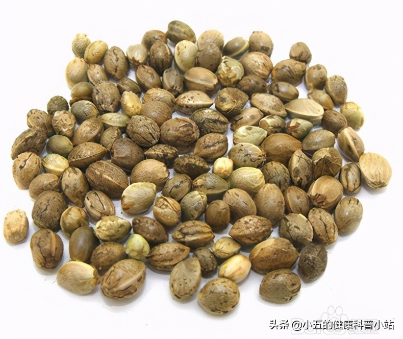 麻子仁丸能治疗羊粪状便秘吗,老年人便秘最好的解决方法麻仁丸