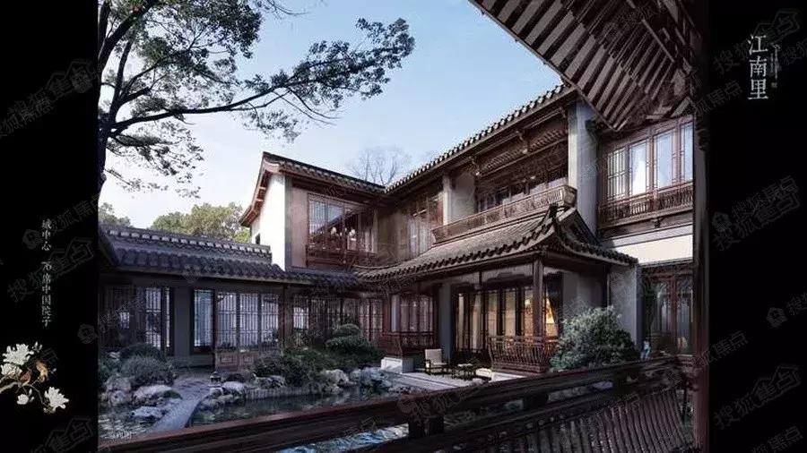 财经女股神,女股神倒在牛市