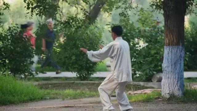 这才是太极拳正确的发力方法,太极最简单的下势教程