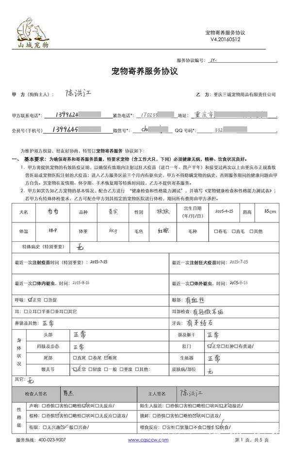 朋友的猫咪寄养在我家的猫怎么养,放假猫咪寄养还是上门喂猫好