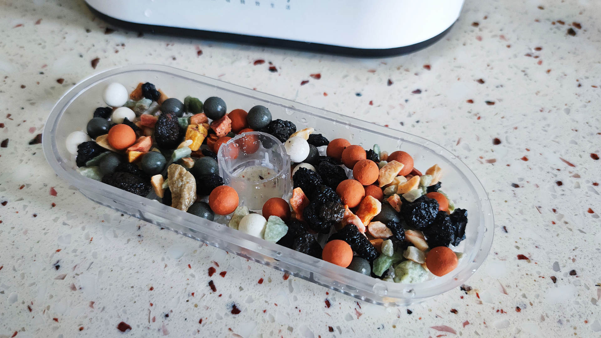 透明小型鱼缸可以养鱼吗,小型鱼缸养鱼知识