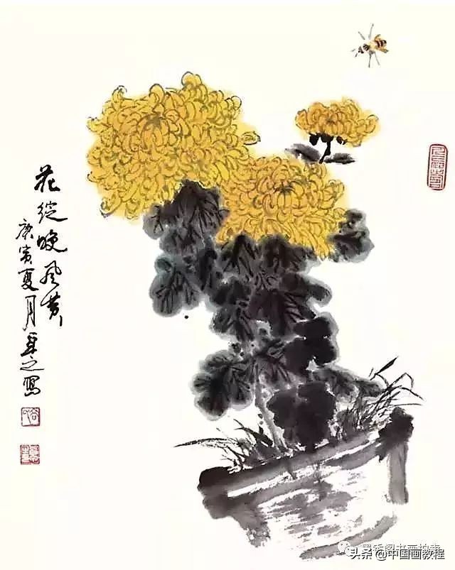菊花花头花苞画法,菊花花头的画法步骤图片