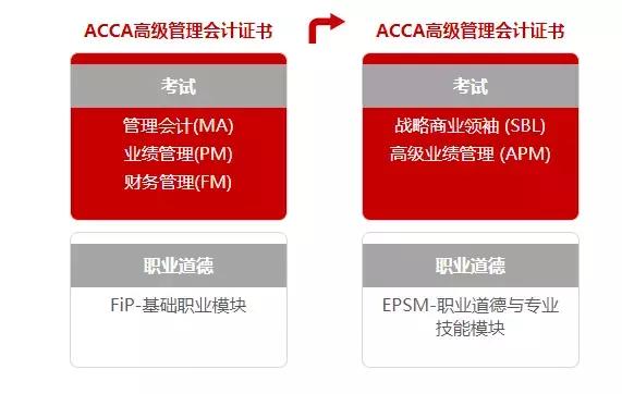 acca真实的状况,acca官网资料