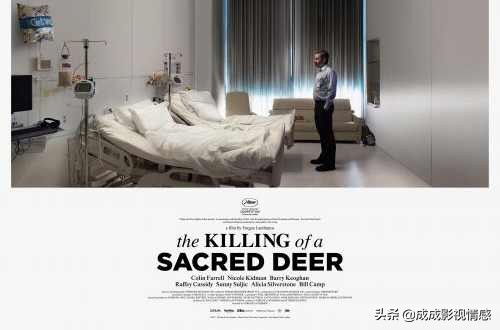 惊悚悬疑恐怖电影免费,惊悚悬疑恐怖电影解说