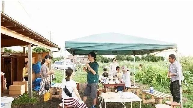日本myfarm共享农场营销模式,开心农场happyfarm攻略