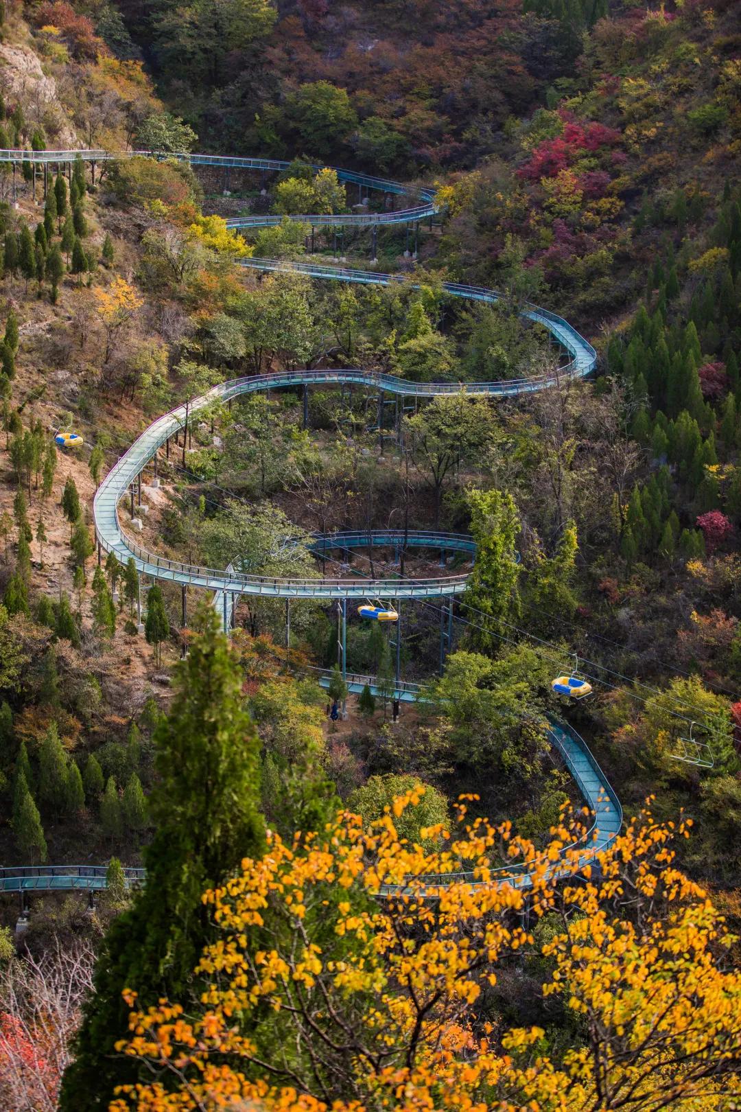 淄博国庆节节放假安排,淄博十一月份有什么活动