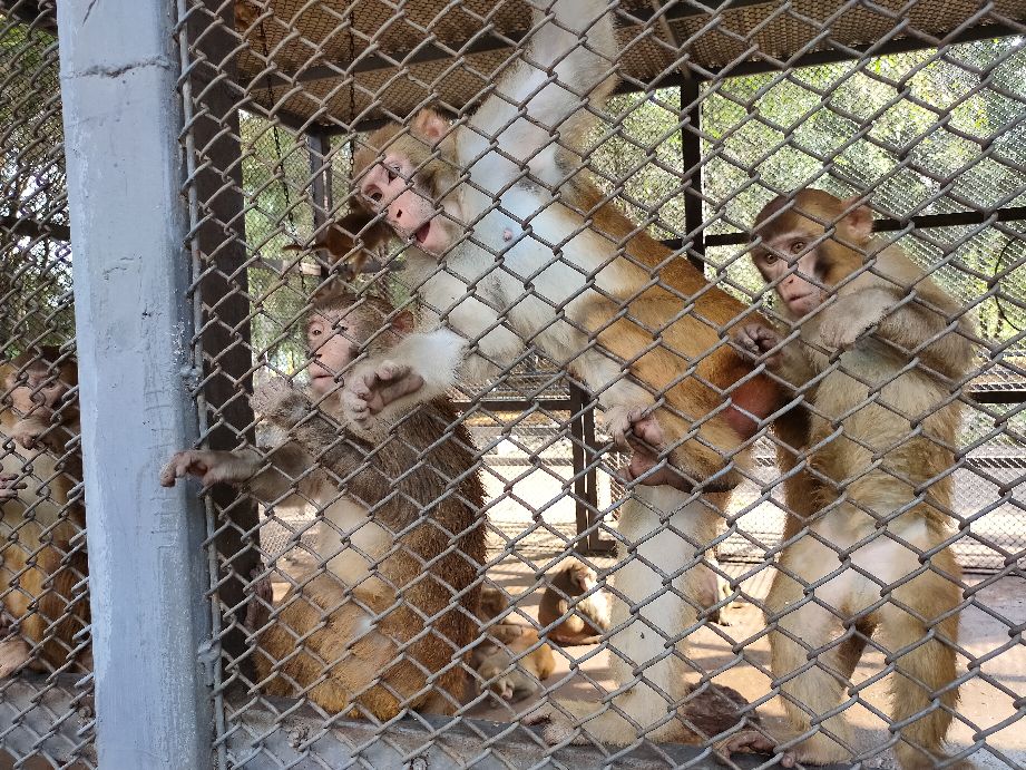 沈阳周边有山有水的免费景点,沈阳工业展览馆2021车展免费门票