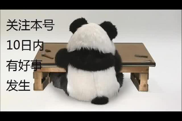 中国足球沉沦20年挥之不去的困境,盘点中国足球令人啼笑皆非的失误