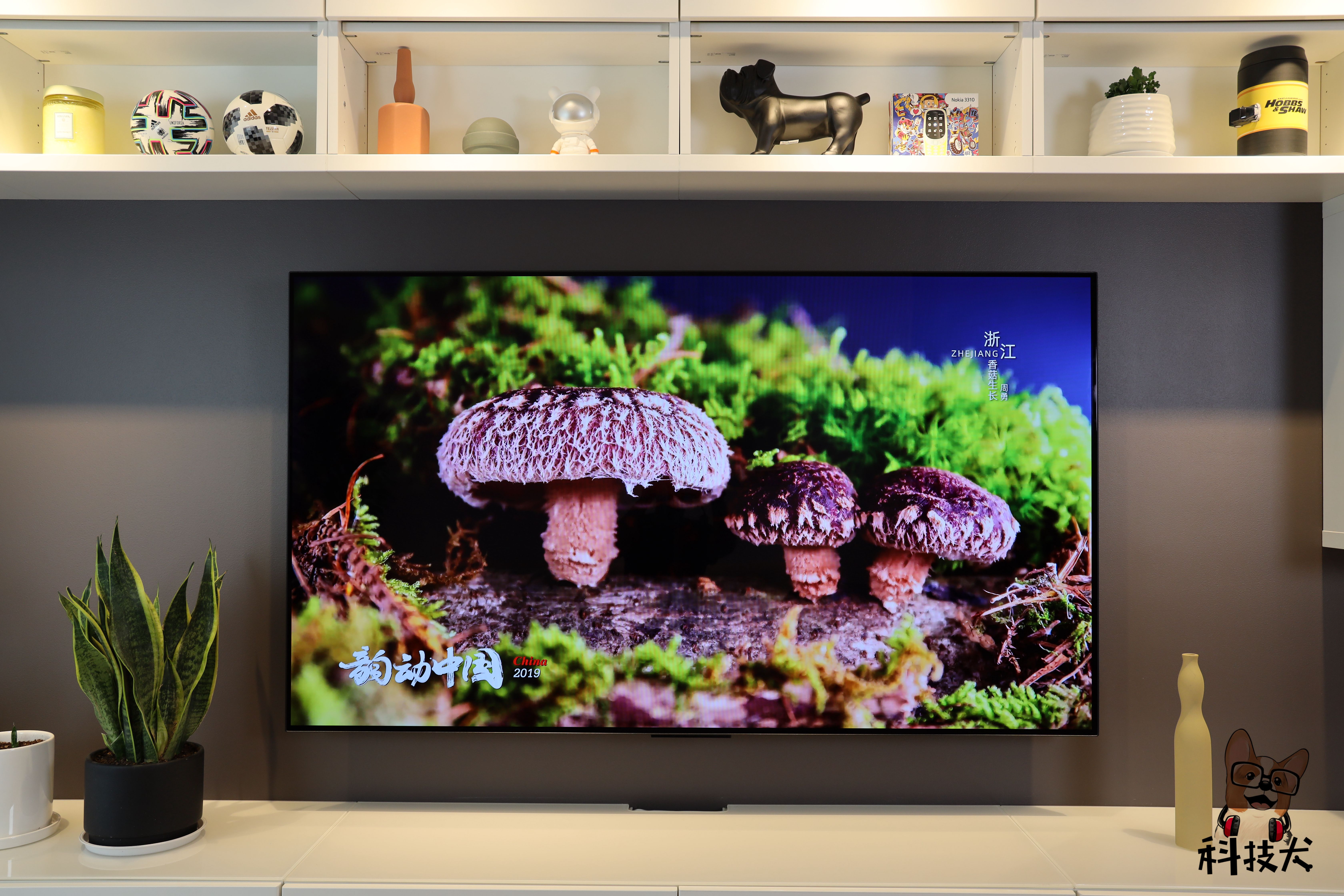 小米大师65寸oled评测视频,小米oled65寸与oled大师区别