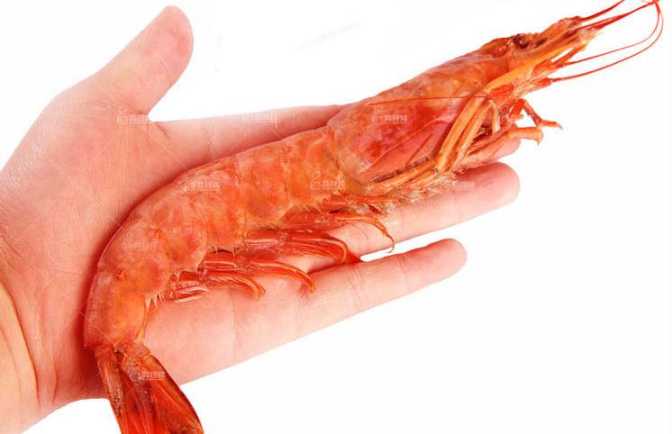鲜活阿根廷红虾,阿根廷红虾鲜嫩多汁