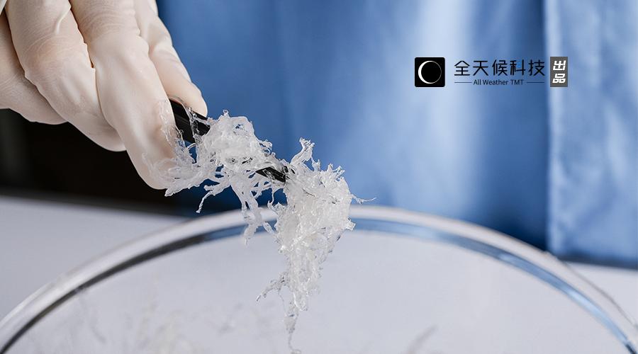 燕窝骗局揭秘完整视频,燕窝其实是一场骗局