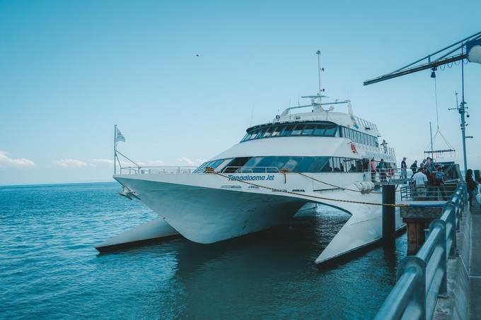 澳洲观鲸攻略,澳洲观鲸之旅