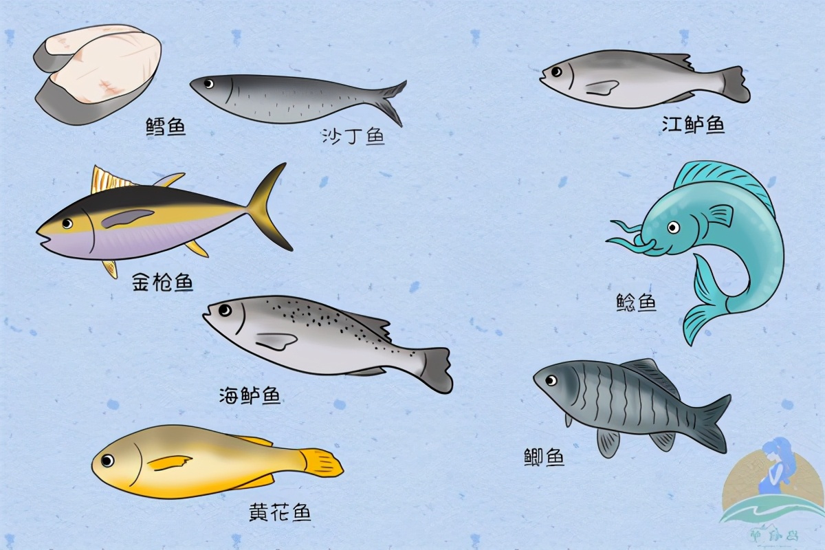 孕妈dha的补充需要避开其他补剂吗,孕妈补充dha会有什么好处