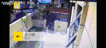 最壕狗窝！主人花3万5为爱宠造了个别墅，泳池和阳光房全都有