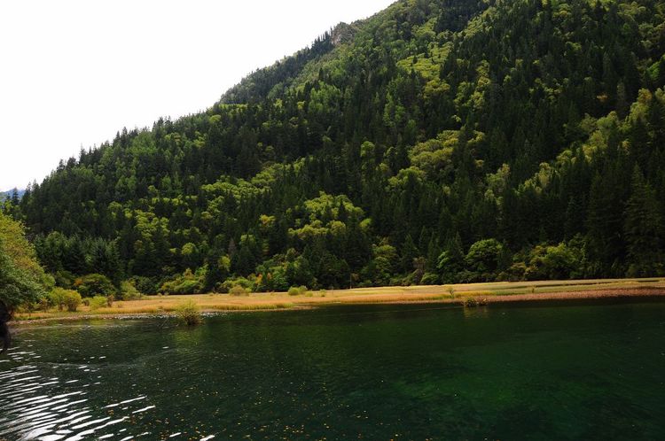 九寨沟最美的十个景点,九寨沟最美的景点排名前十