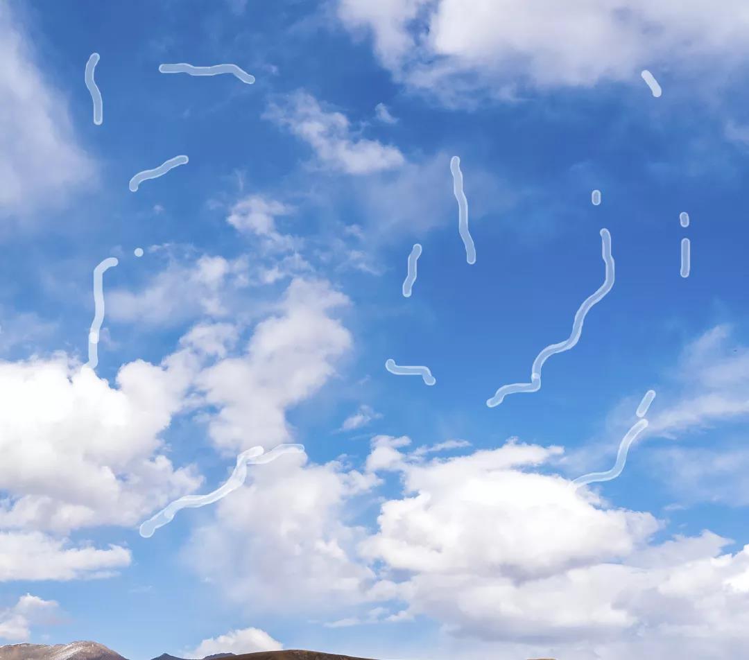 得了飞蚊症能喝酒吗,老年人得了飞蚊症