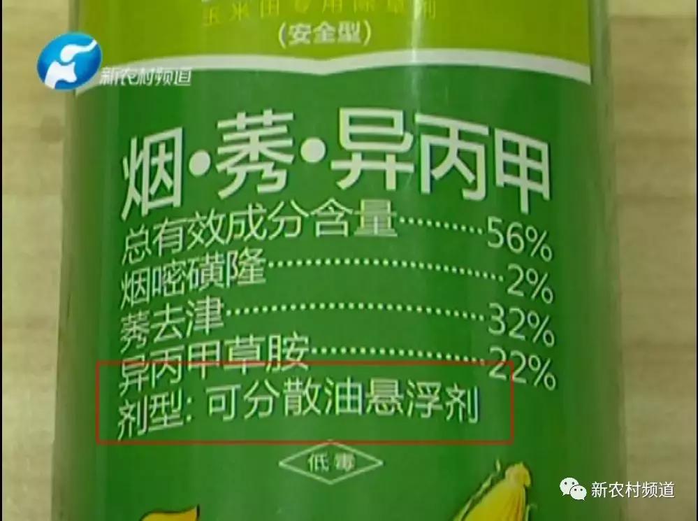玉米除草剂药害玉米减产吗,玉米受药害减产吗