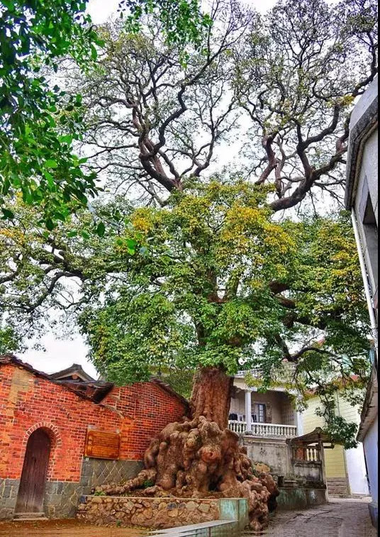 莆田端午旅游攻略,莆田端午节游玩攻略