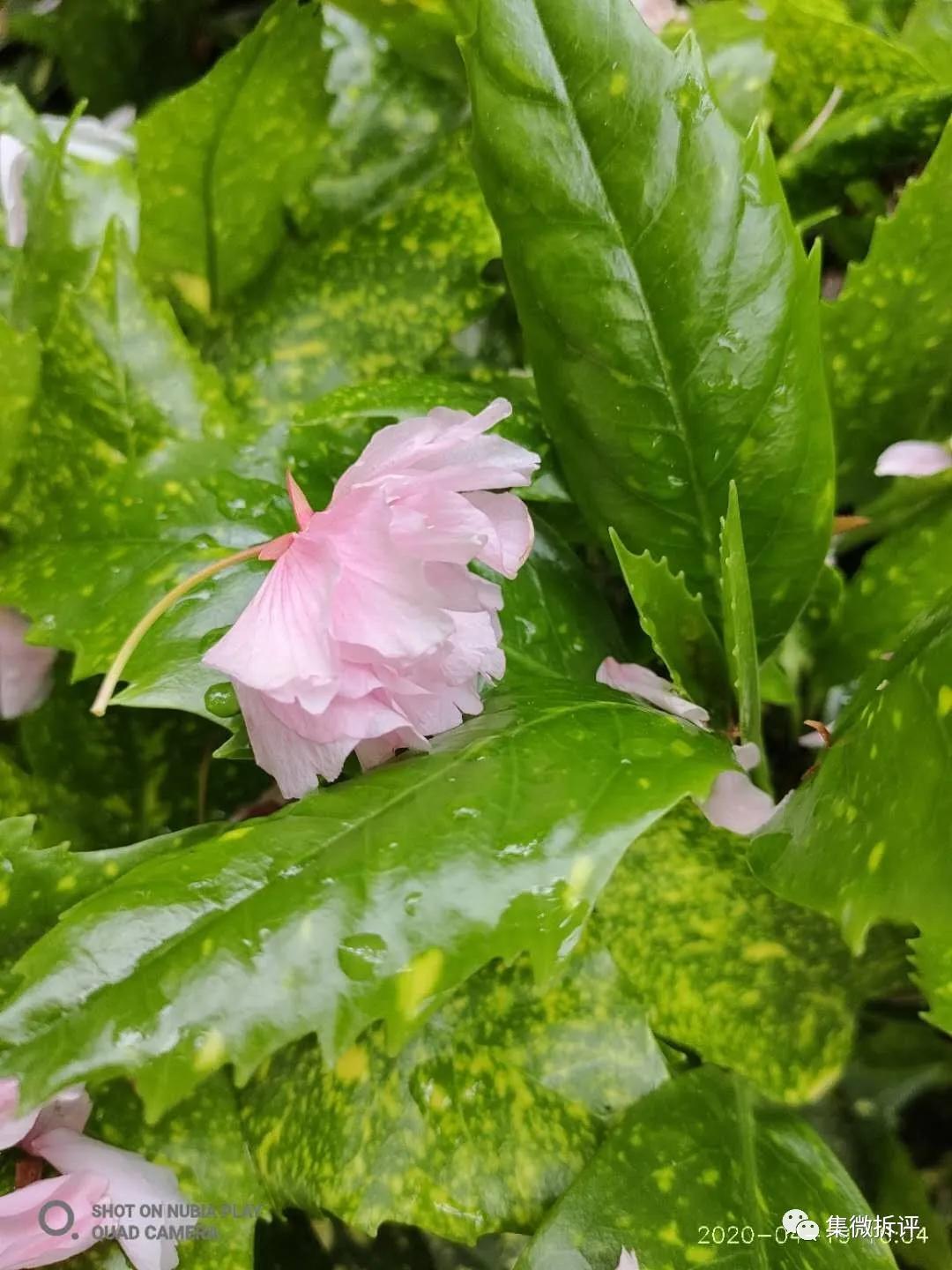 努比亚play和红米note10pro哪个好,努比亚play详细细节测评