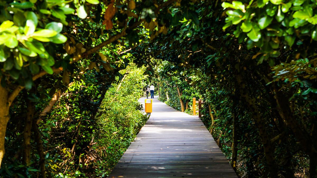 珠海有哪些好玩的地方或景点啊,珠海旅游攻略必去景点排行榜
