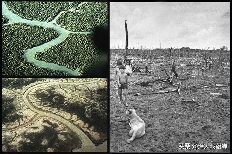 越战美军越南女兵,越战时期美国人对付越南女兵