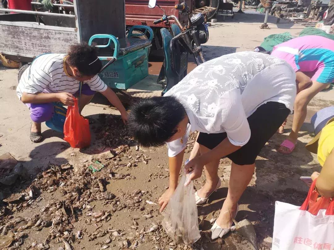 青岛开海了新鲜肥美的海鲜已上市,青岛开海红岛海鲜八大关
