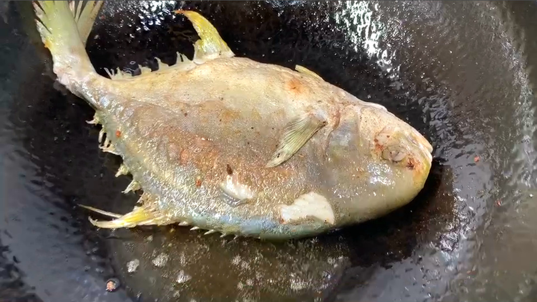 做鱼去腥加醋还是料酒,做鱼加酒和醋真的好吃