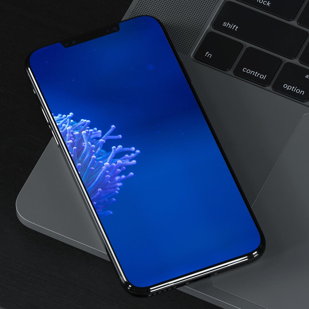 刘海屏手机壁纸苹果,iphone11桌面壁纸刘海屏