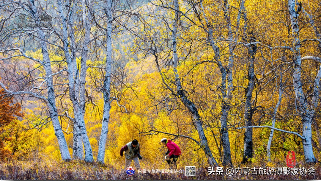 那山那水那滋味,那山那水那份爱