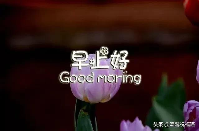 早上好温馨靓丽问候语图片,星期天早安问候语图片高清