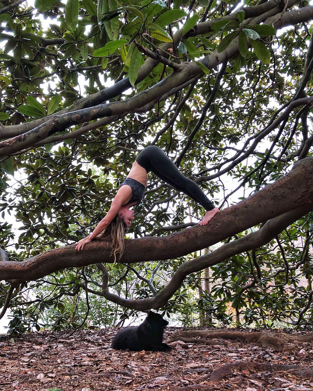 辛芷蕾金色吊带惊艳亮相,35岁辛芷蕾罕见晒卷发造型