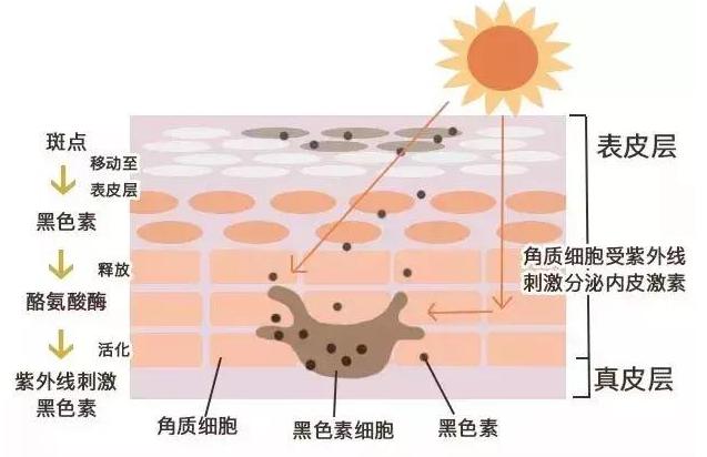 简单有效缓解黑眼圈的两个小方法,坚持用这四种方法有效缓解黑眼圈
